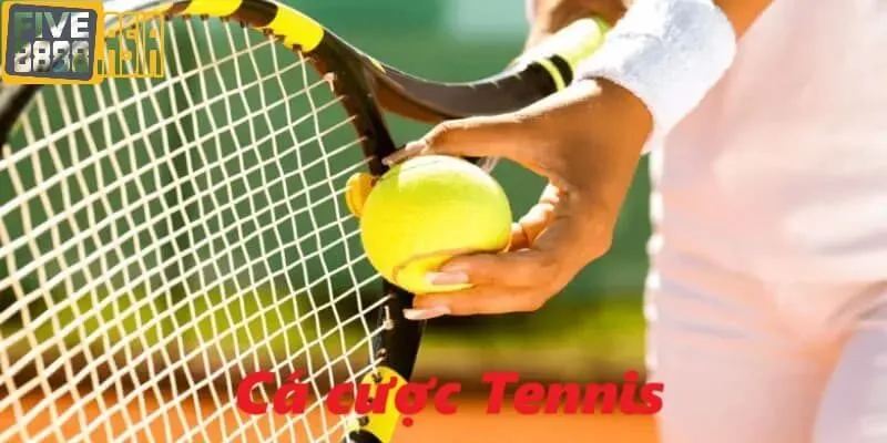 Giới thiệu về cá cược quần vợt tại sân chơi chúng tôi