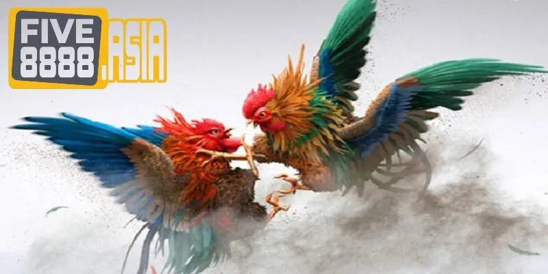 Đọc kỹ các nội dung dưới đây để hiểu được quy định thắng thua